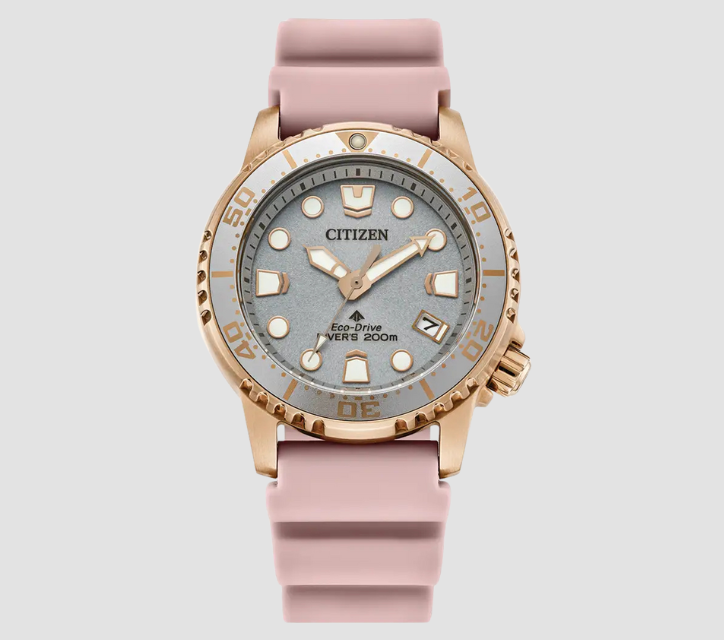 Citizen Promaster Diver Watch