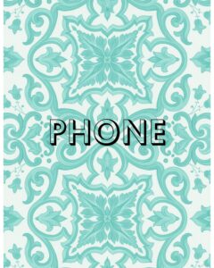 playsmart-phone