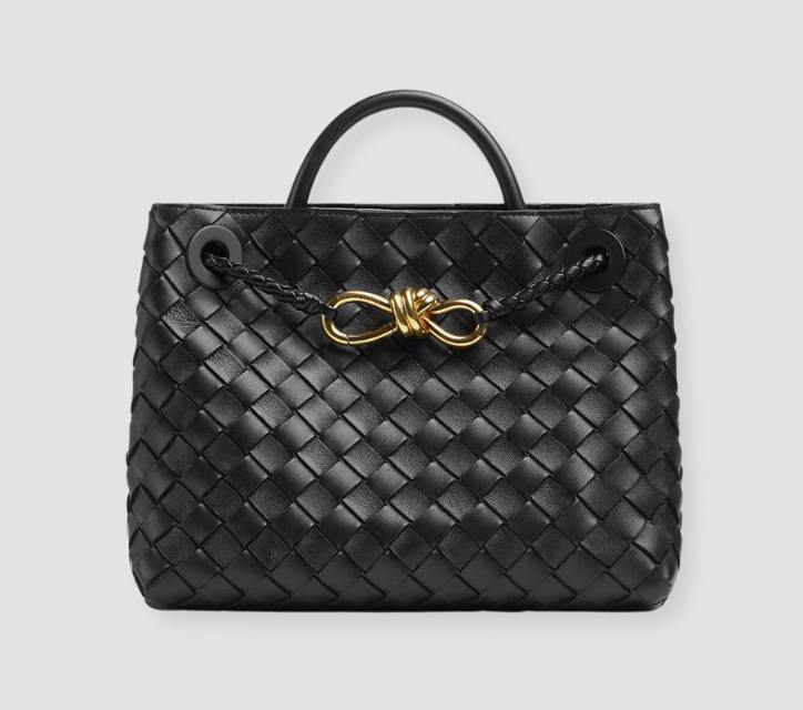 Bottega Veneta Small Andiamo Bag