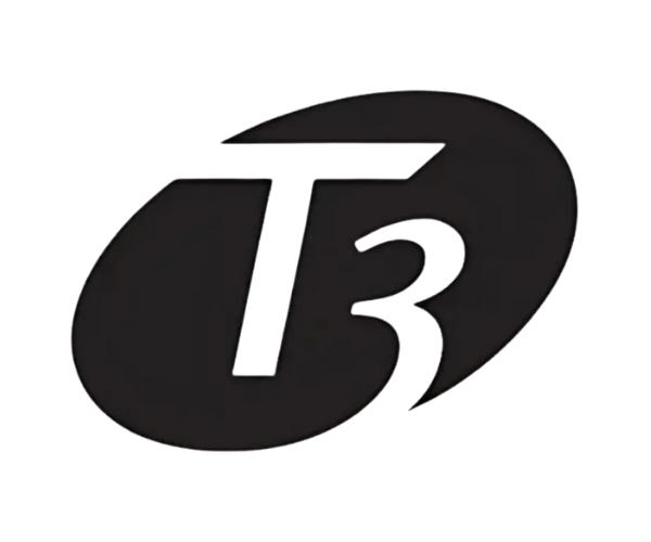 t3 - playsmart