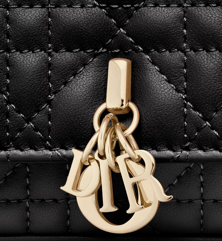 My Dior Talk Phone Pouch - xiceditorial -xic editorial