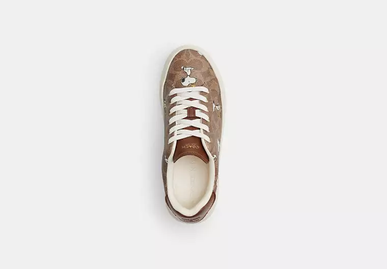 Coach x Peanuts Sneakers in Signature Canvas Snoopy Print