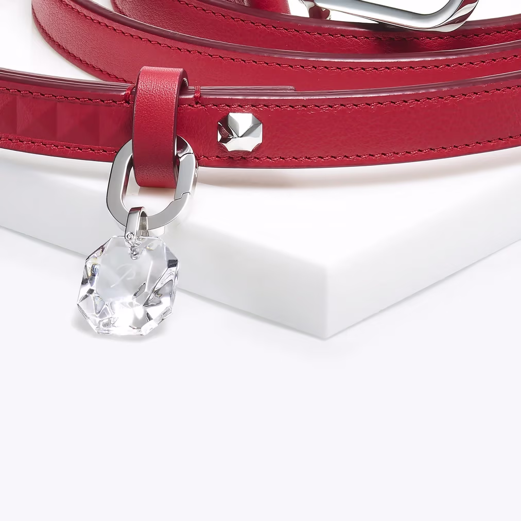 Baccarat Louxor Pet Leash - xiceditorial - xic editorial