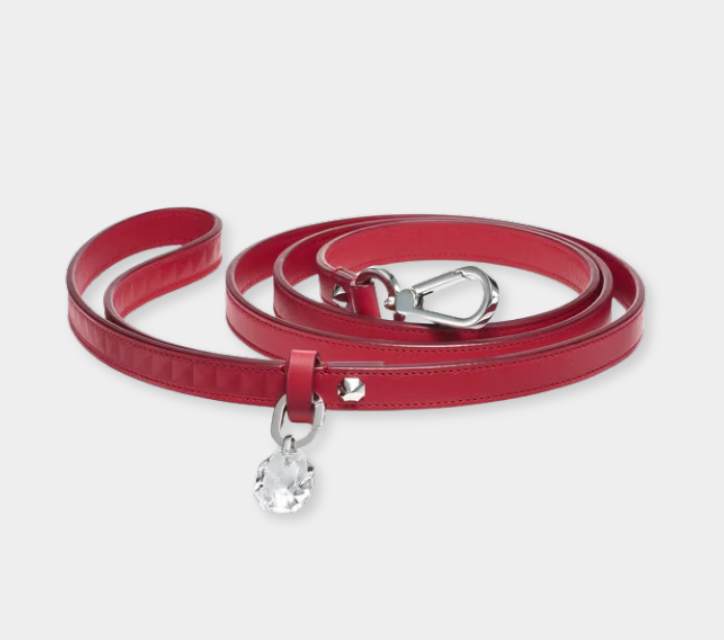 Baccarat Louxor Pet Leash - xiceditorial - xic editorial