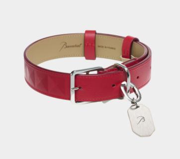 baccarat-Louxor Pet Collar xic editorial