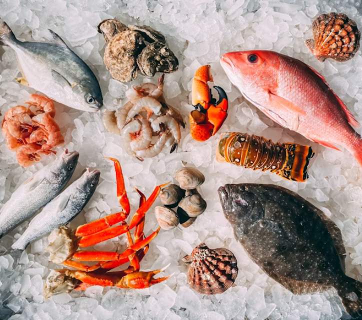 b2b Fish & Seafood xiceditorial xic editorial