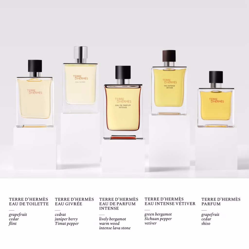 Hermès Terre d’Hermès Eau de Toilette 50ml - xiceditorial - xic editorial