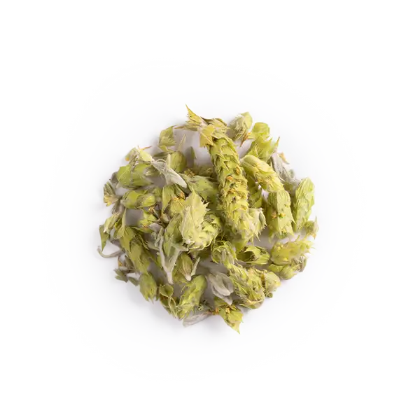 Organic Mountain Tea Anthea Organics – Loose Leaf 20g tin box - anthea organics xiceditorial xic editorial