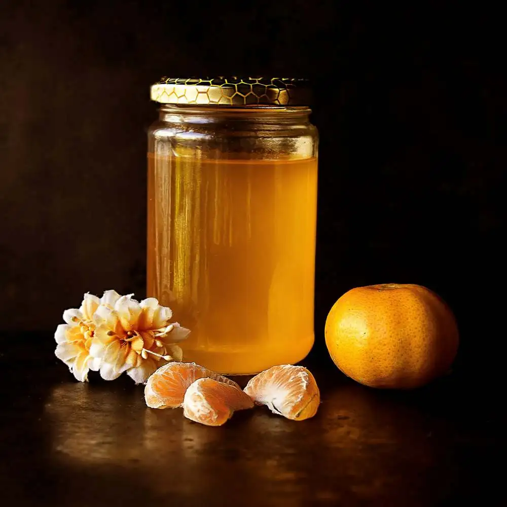 honey elaiopigi xiceditorial μελι