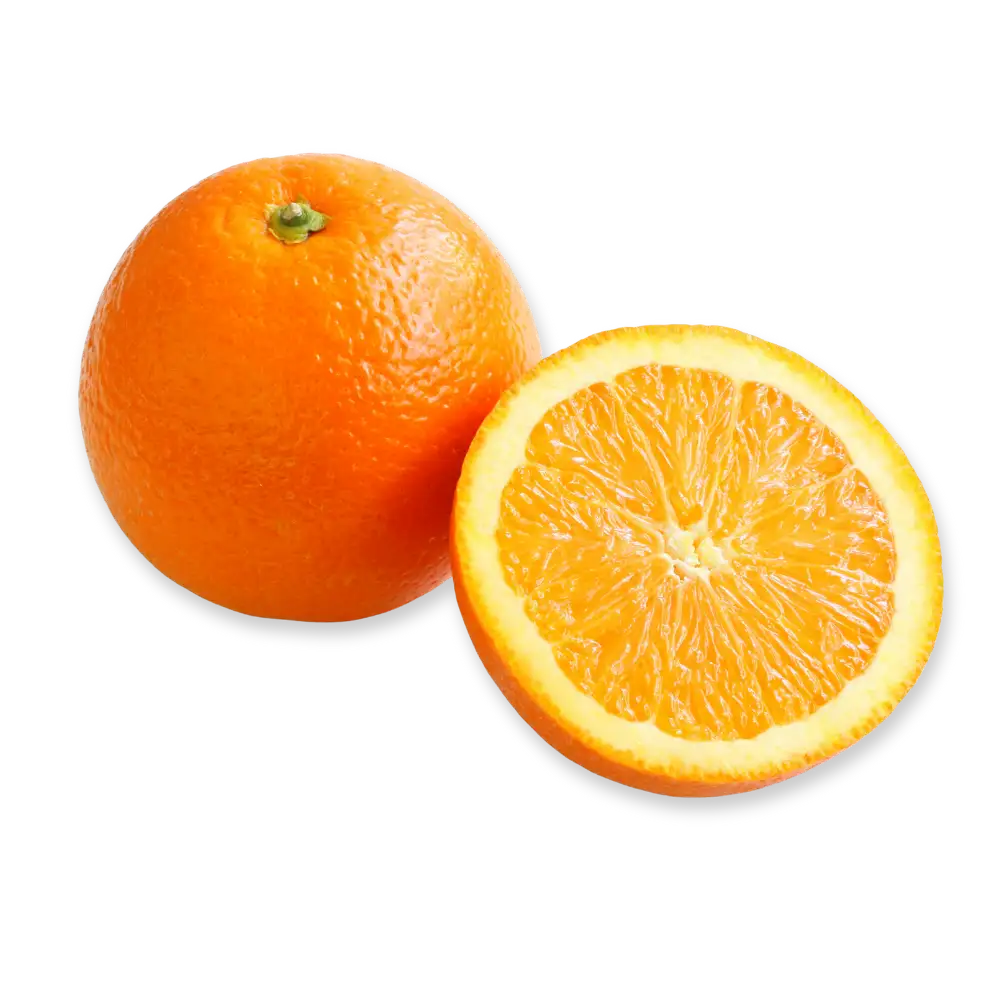 apostolakos orange xiceditorial