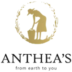 antheas logo xiceditorial