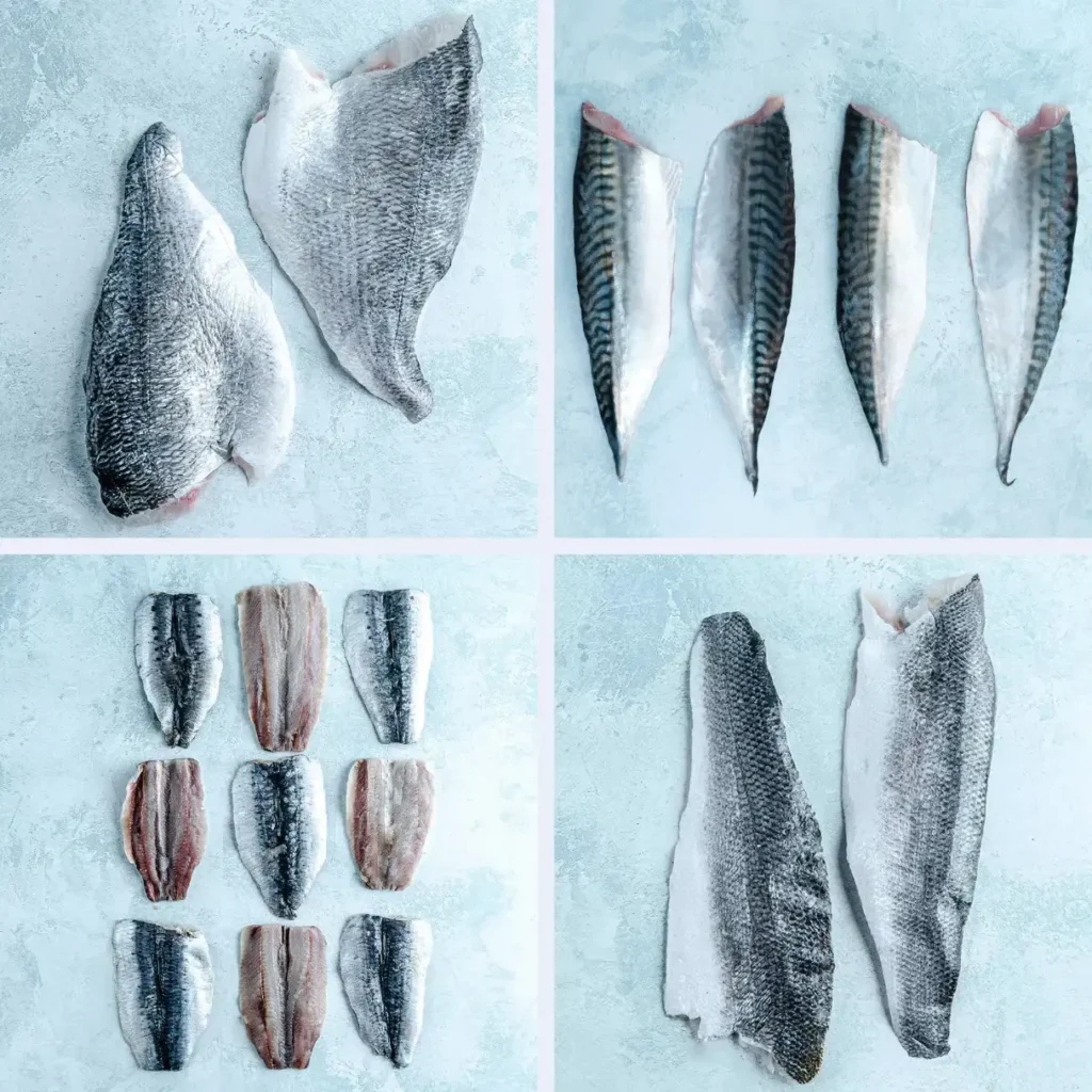 the fish society xiceditorial xic editorial
