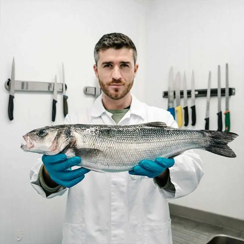the fish society xiceditorial xic editorial