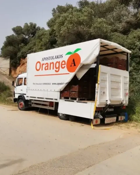 apostolakos orange xiceditorial