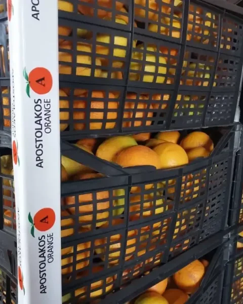 apostolakos orange xiceditorial πορτοκαλια