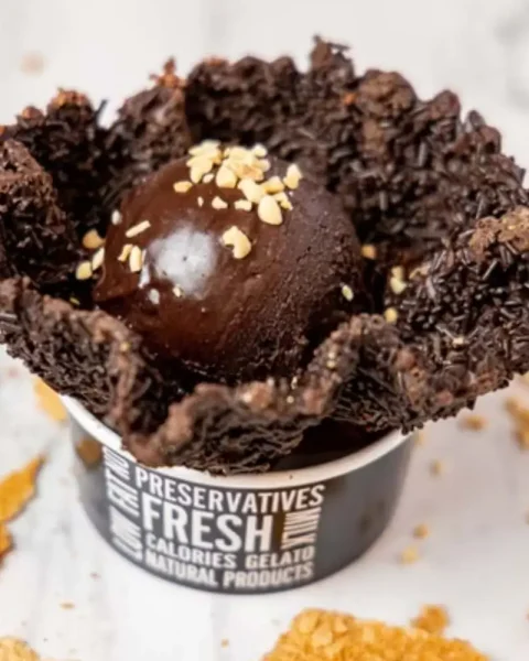 GELATO vs ice Cream (1)_result